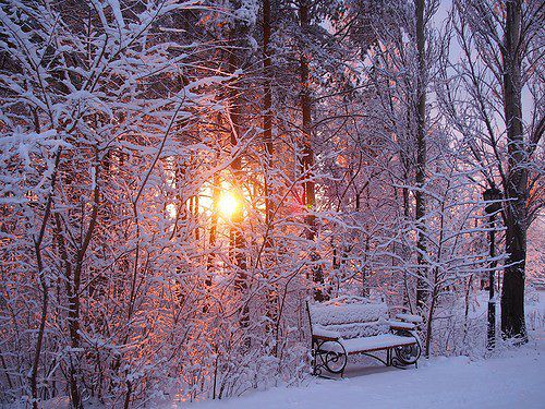 хотел бы я тут кого нибудь трахнуть