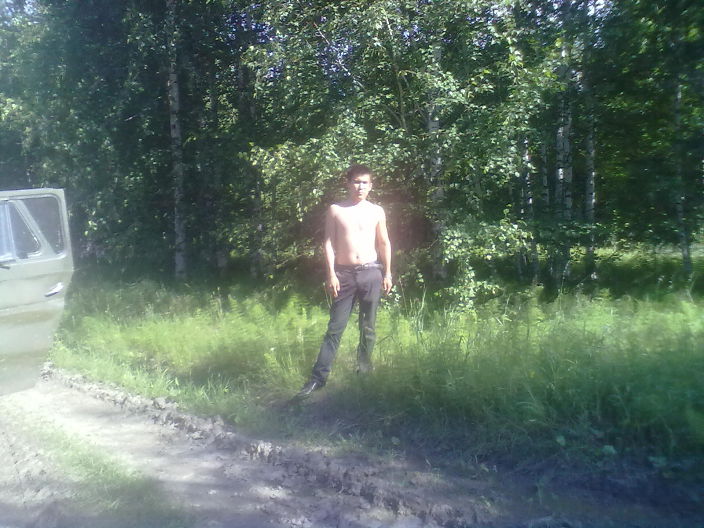 в лесу