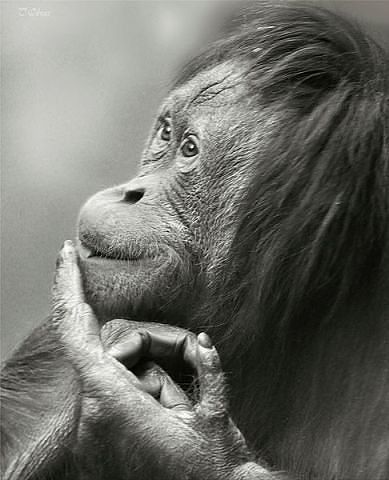 Я в молодости