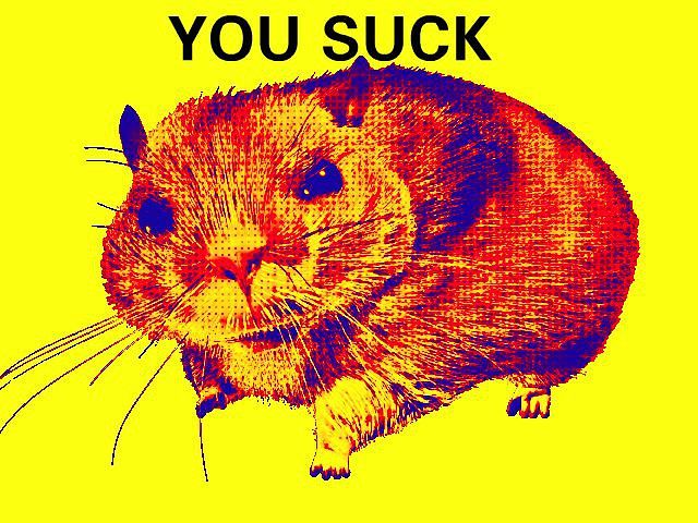 you suck