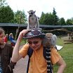 Lemur