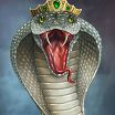 Finderon