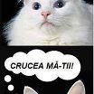 sd,mcv