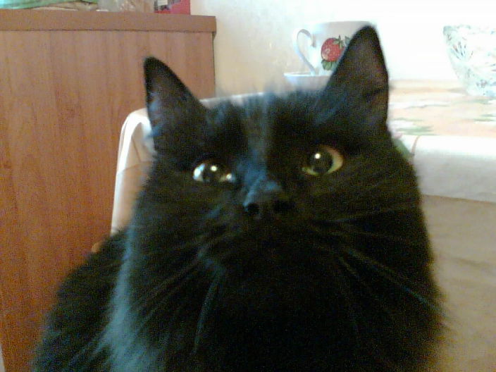 Портоет с натуры...шутка!