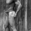 MALE M