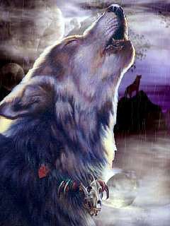odinokij volk
