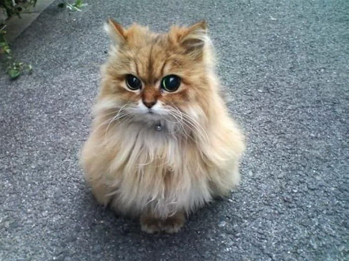 Очень тебя жду...