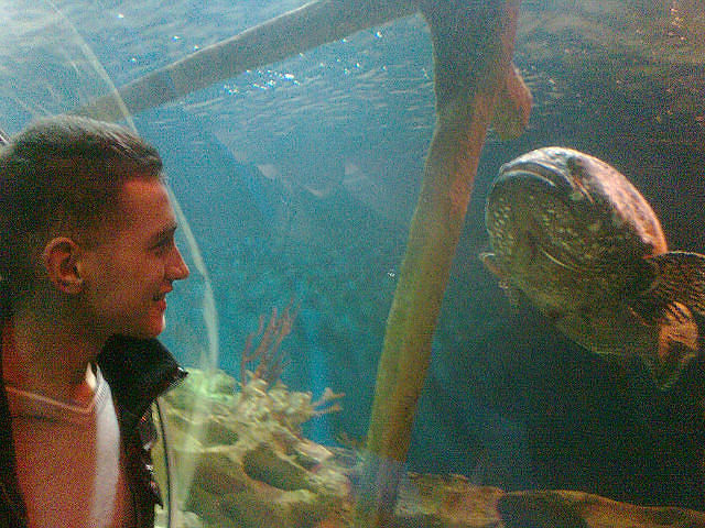 я в океонариуме