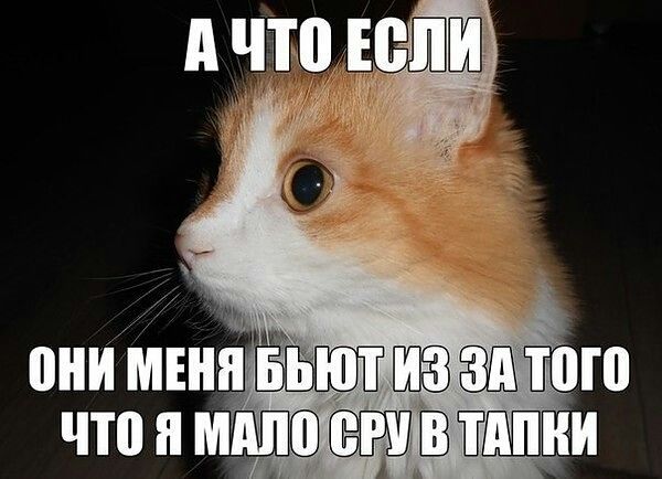 обожаю делать куни