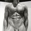 MALE M