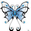 Papillon45