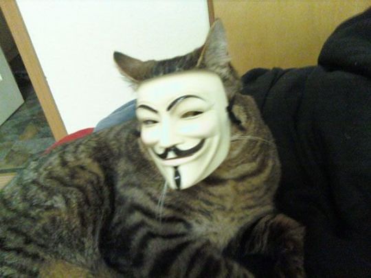 Жду