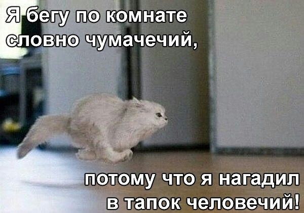 )))