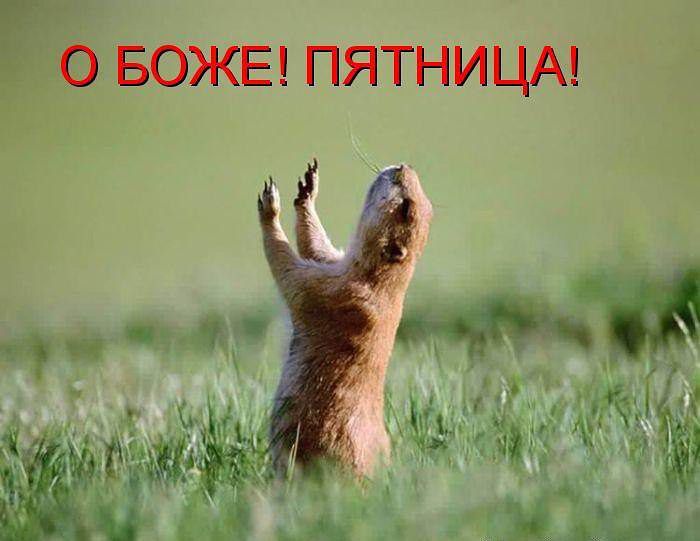 под моим летом
