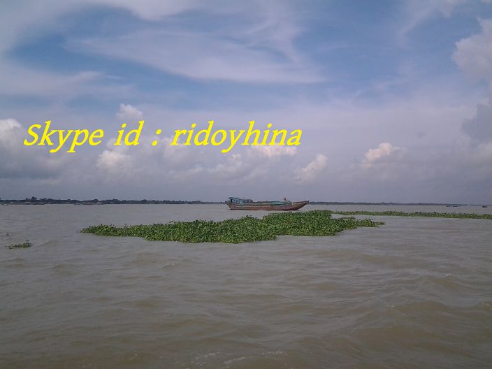 Skype id: ridoyhina