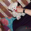 hiushki