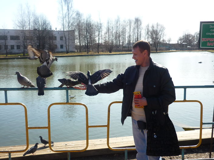 беркуты.