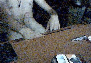 skype kofbodom.kofbodom