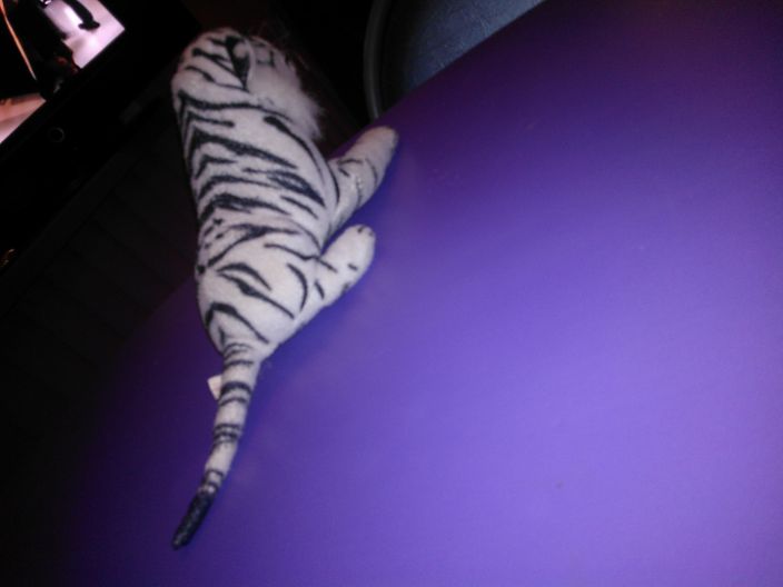 tigrrrrr