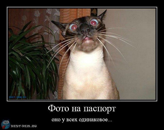 Просто фото :)
