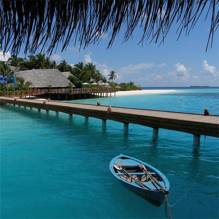 люблю вас всех