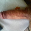 мой 19 см