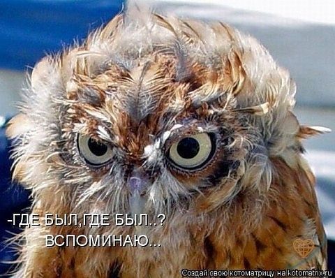 Заголовок