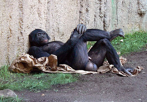 как вам фотка