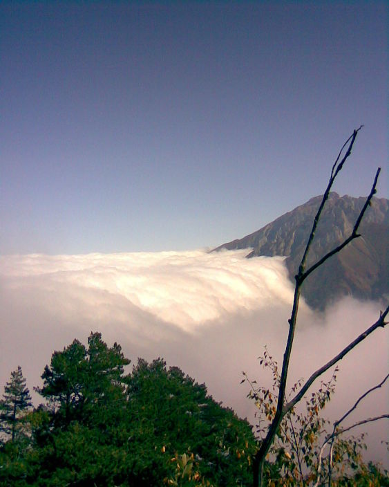 родной край