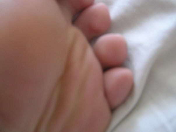 foot