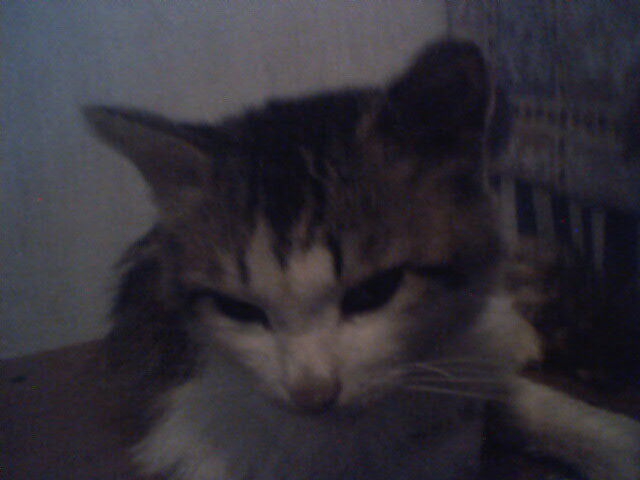 хочу секс всегда