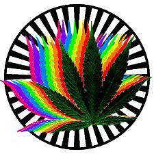 ganja