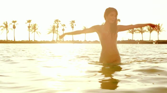 priyanka chopra & pitbull